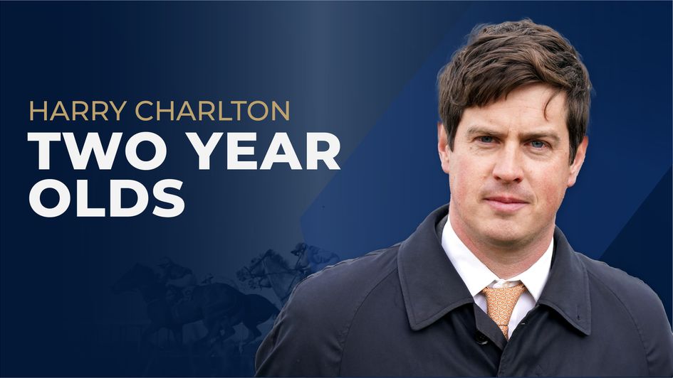 Harry Charlton Two-Year-Old Guide