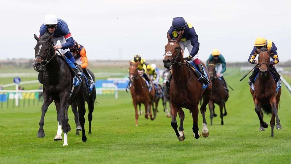 Calendar Girl wins the Oh So Sharp