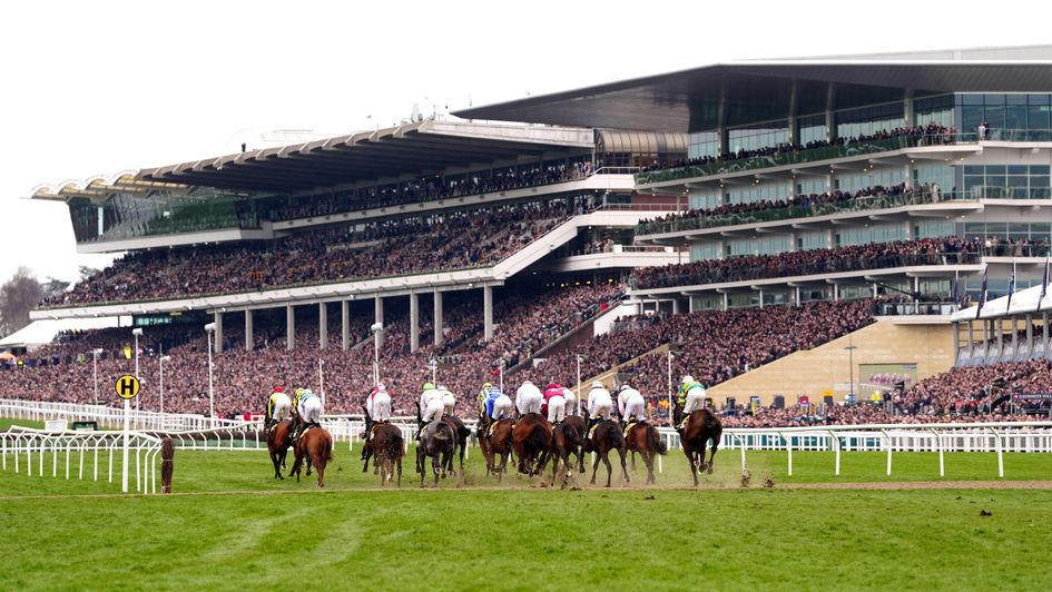 Packed stands for the 2025 Triumph Hurdle