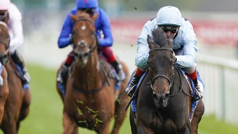 Primo Bacio (pictured) and Starman were sorely missed