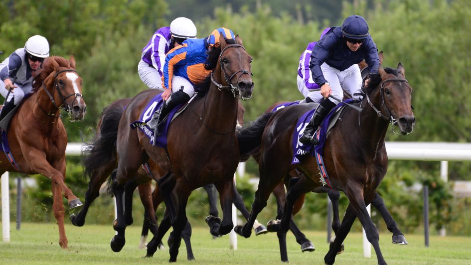 Tiger Moth (right) in winning action at Leopardstown