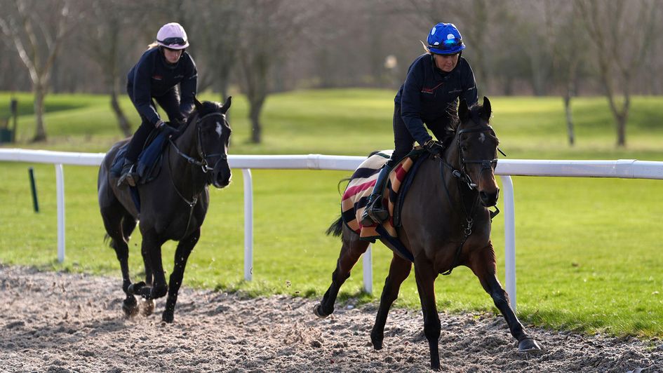 Lanesborough (right) and Personal Ambition are ridden along the gallops