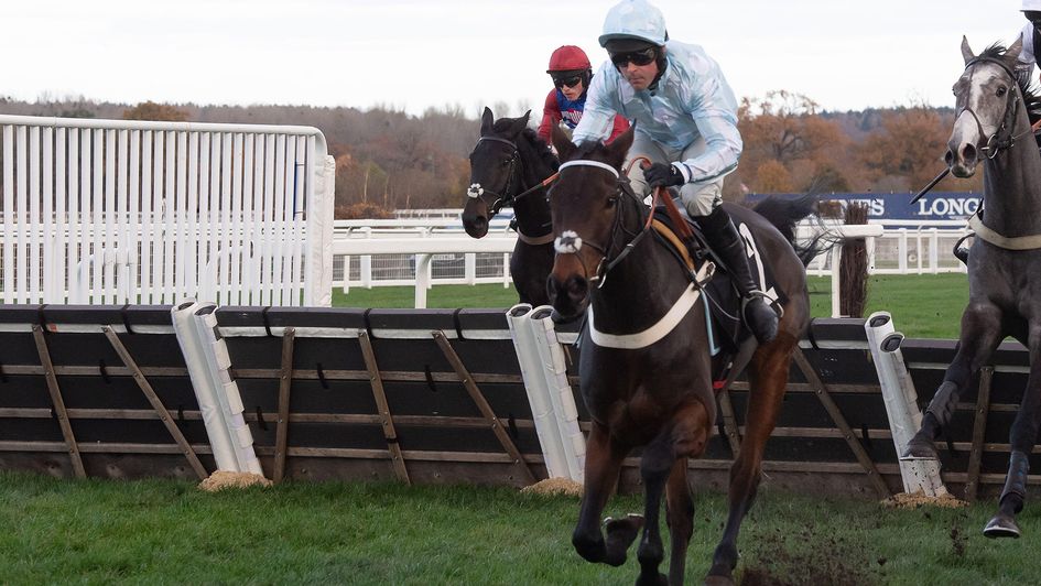 Doddiethegreat in action