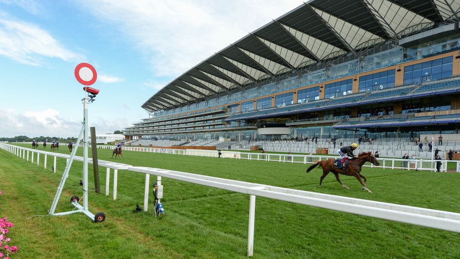 Stradivarius pulls 10 lengths clear in the Gold Cup