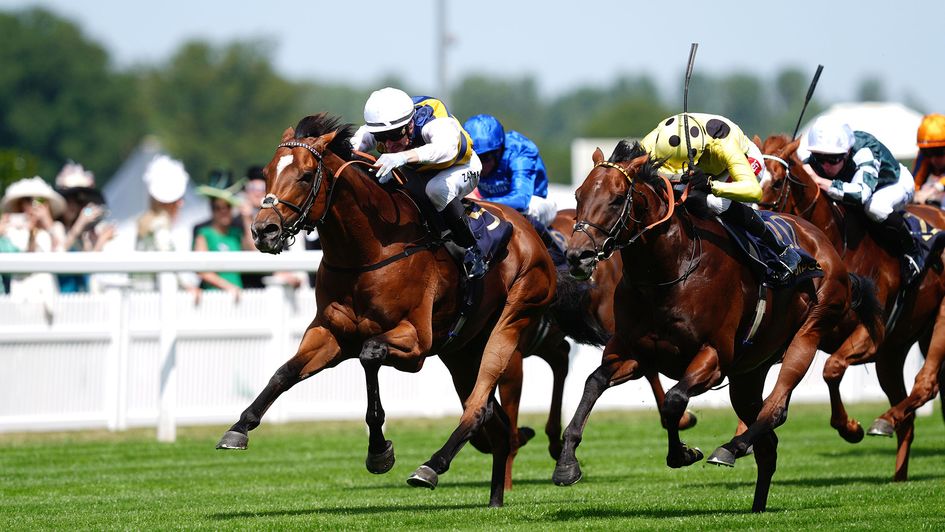 Docklands edges out Rosallion in the Queen Anne