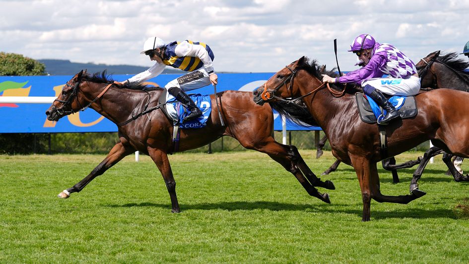 Ciarrai Abu wins again at Goodwood