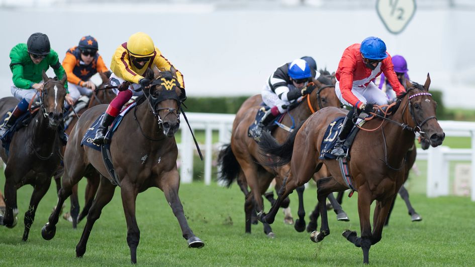 Campanelle (near-side) gets on top of Sacred