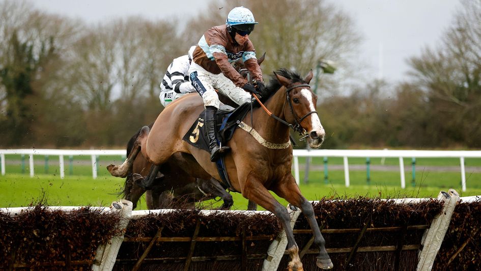 Laurens Bay ridden by Gavin Sheehan
