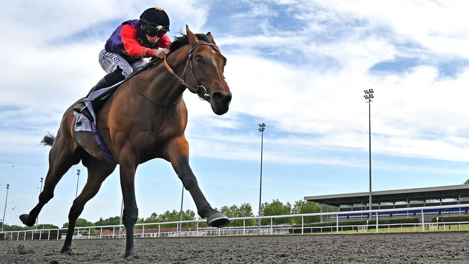 First Receiver comes home on his own at Newcastle