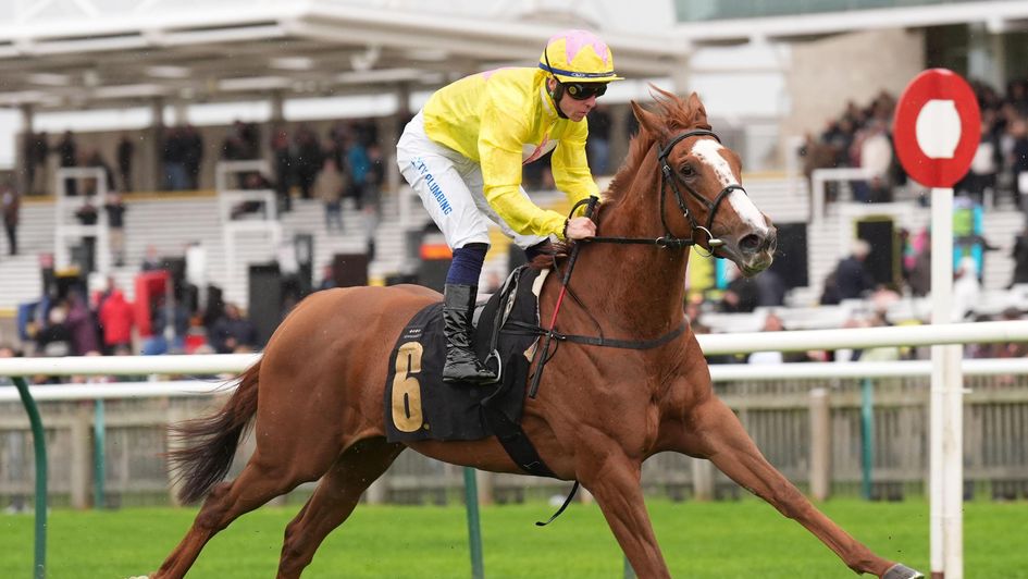 Princess Rascal wins at Newmarket