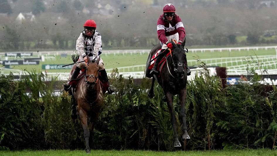Delta Work (right) and Galvin at Cheltenham