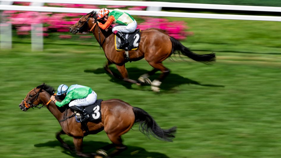 Rose Hip (near side) holds on for victory at Ascot