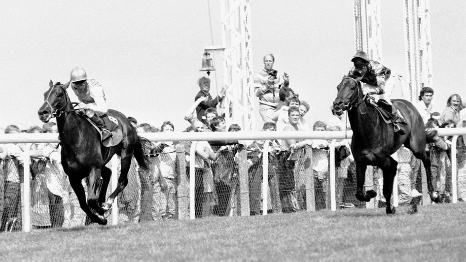 Dancing Brave has his revenge at Ascot