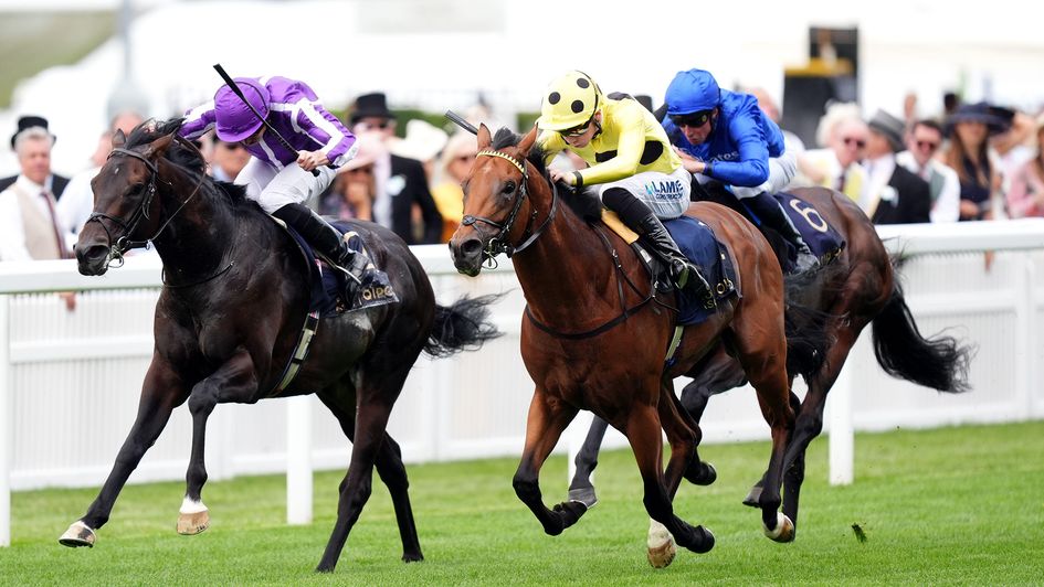 Bow Echo gets the better of Gstaad in the St James's Palace Stakes