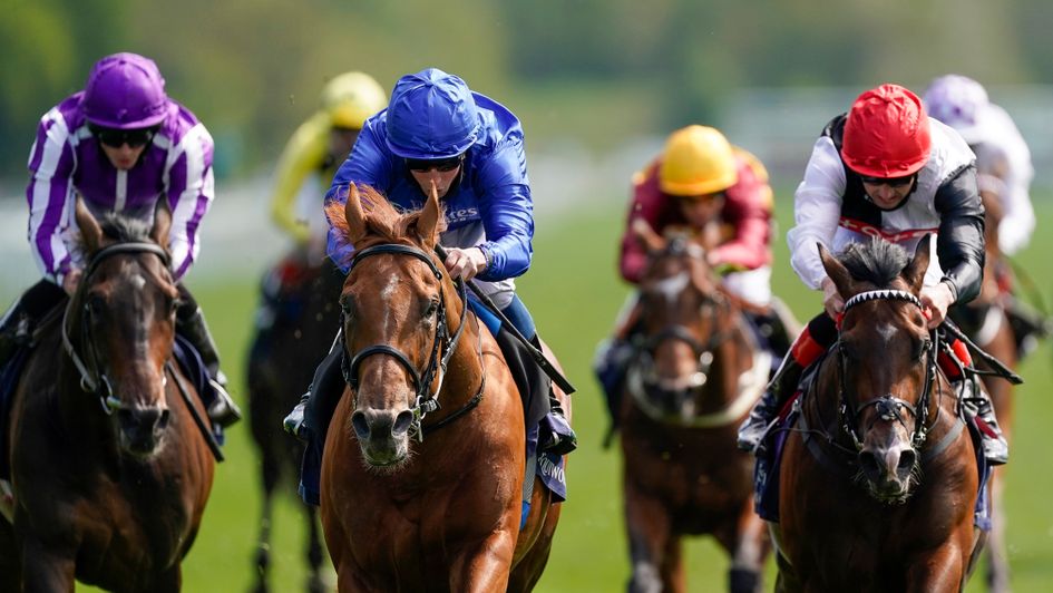 The Dante could be the key piece of form