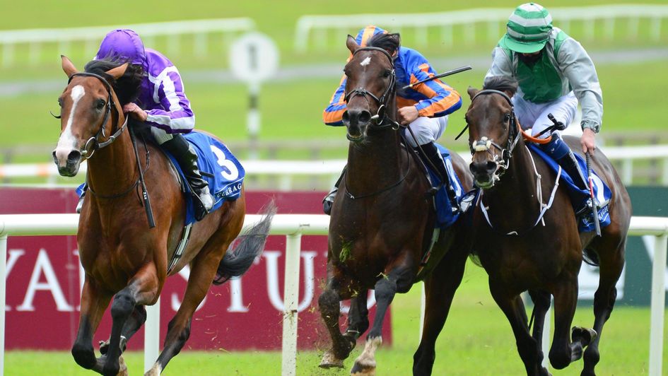 Hudson River makes a winning debut