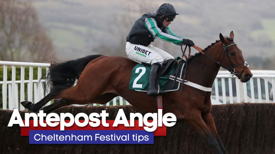 Pym in action at Cheltenham