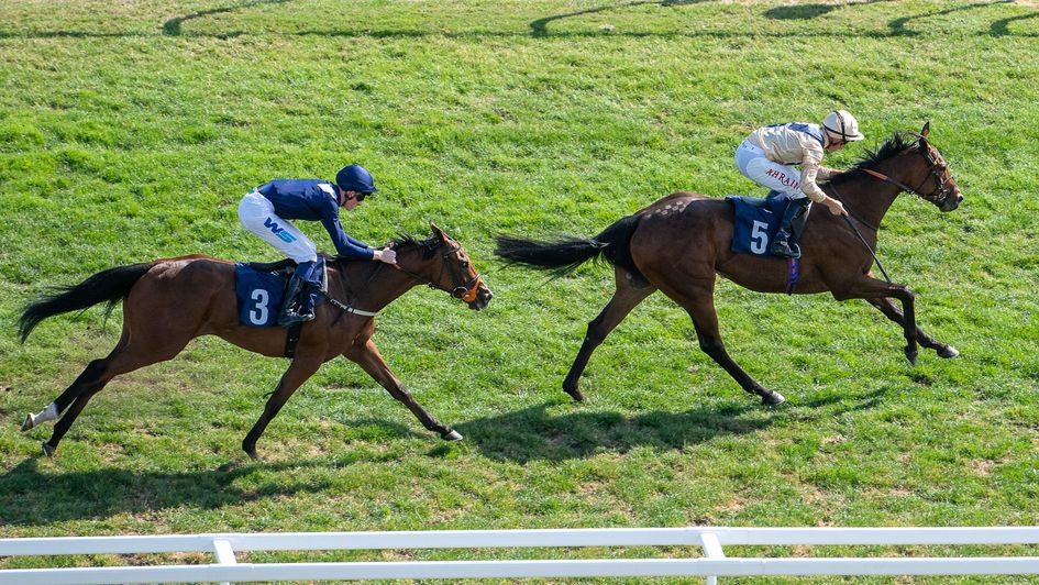 Sweetwonderfulyou scores for the Haggas team