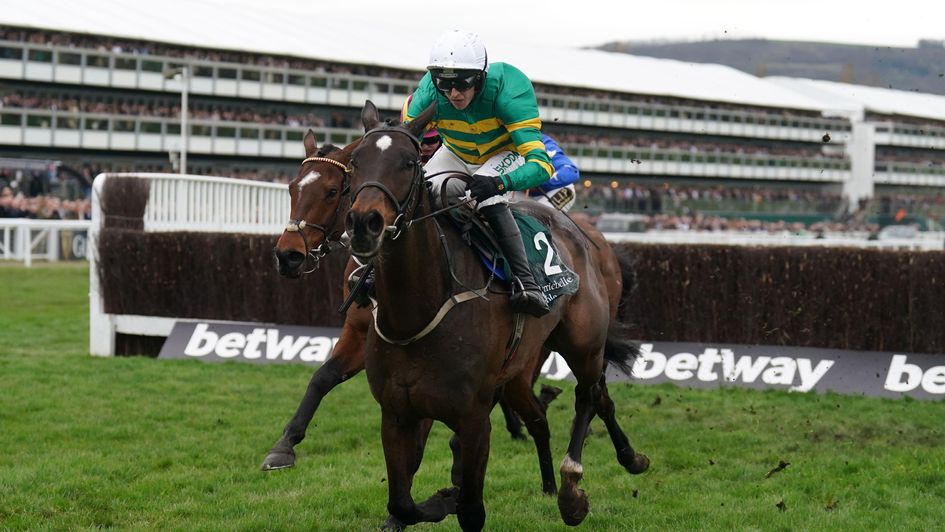 Fact To File in front at Cheltenham