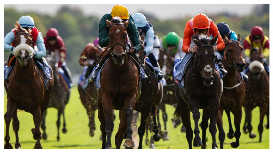 Cut A Dash (yellow cap) wins the Rockingham