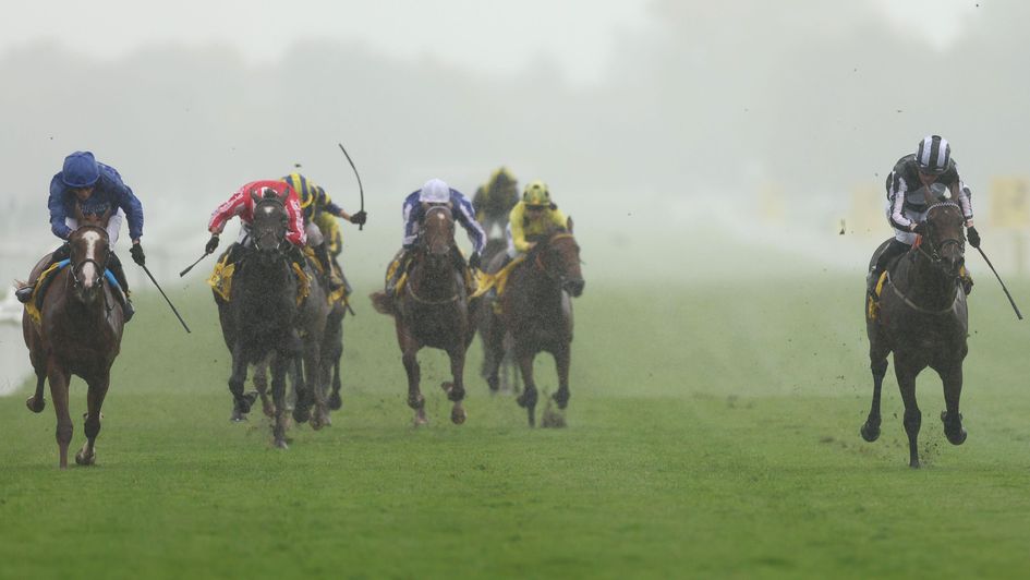 Words Of Truth (left) overhauls Into The Sky