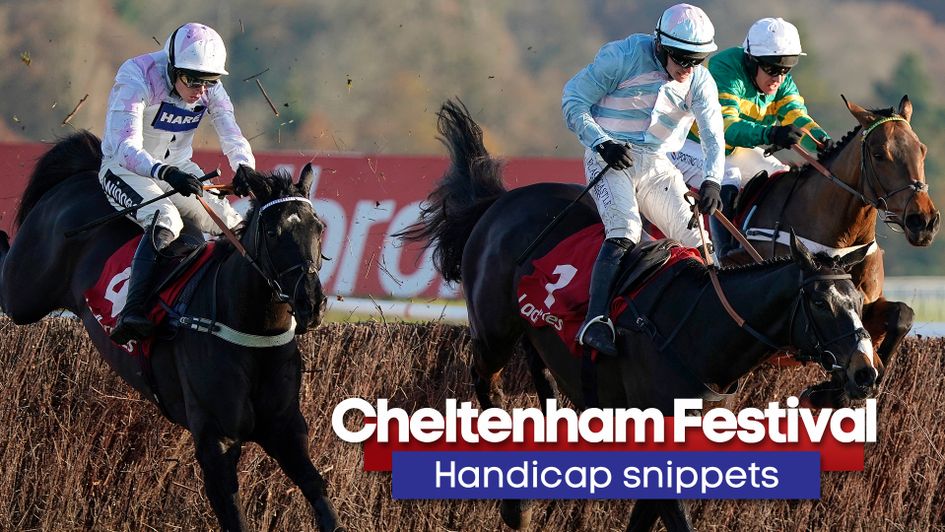 Deyrann De Carjac (far left) has been campaigned in warm races