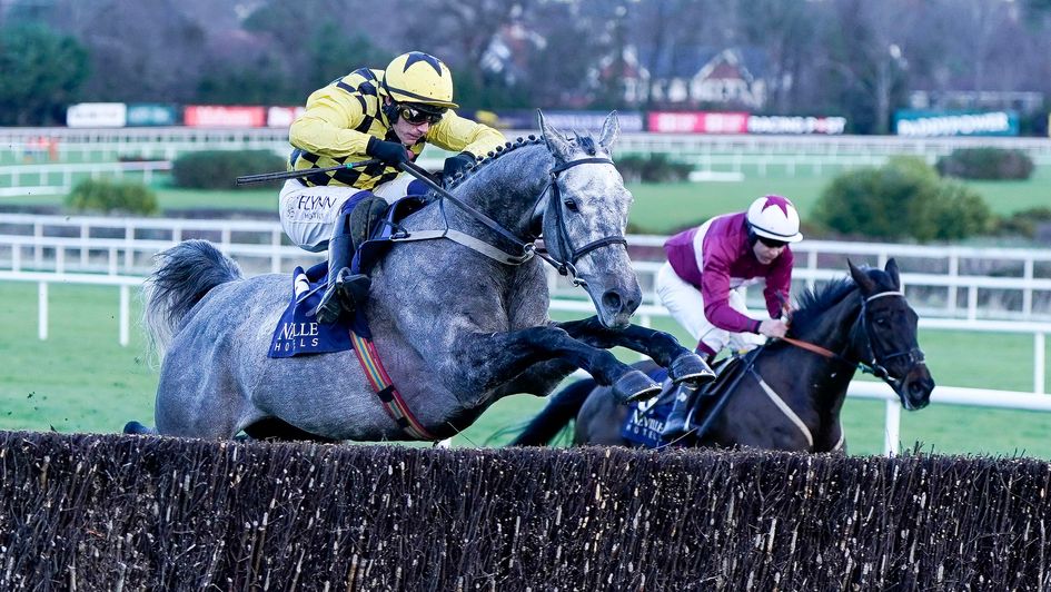 Churchstonewarrior (right) in action at Leopardstown