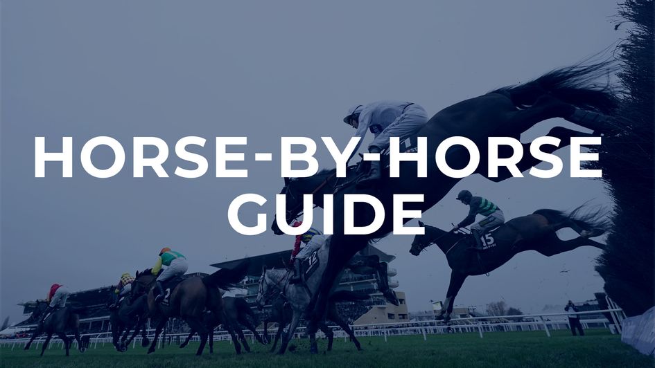 Horse by horse guide