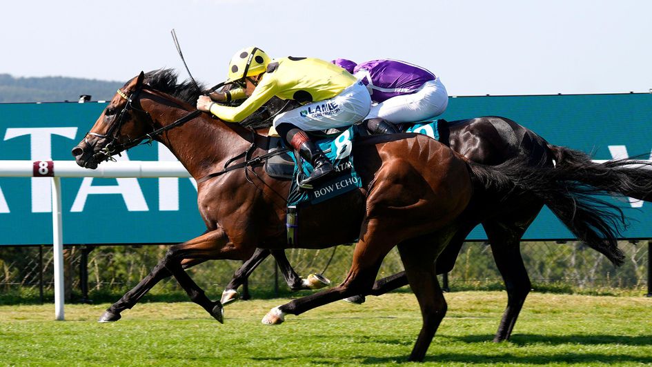 Bow Echo flashes home late to land the Sussex Stakes