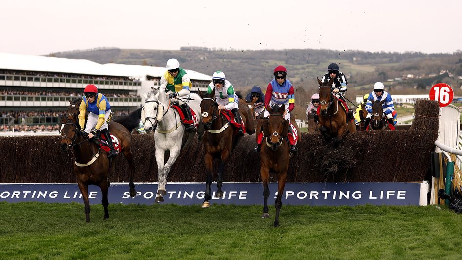 Who will win the hugely competitive handicap races at Cheltenham?