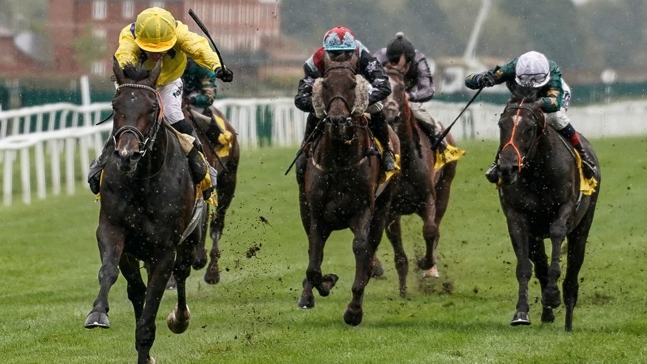 Young Rascal returns with a win at Newbury