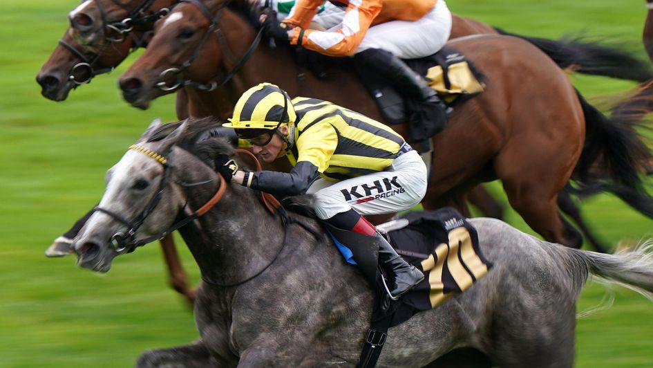 True Cyan makes an exicting winning debut