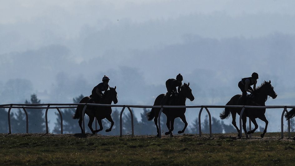 Horses galloping in Middleham
