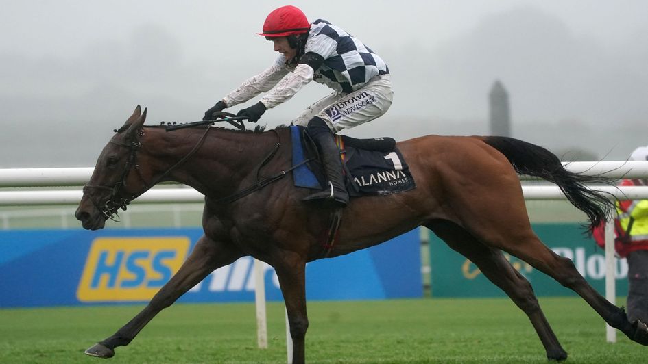 Ballyburn wins at Punchestown