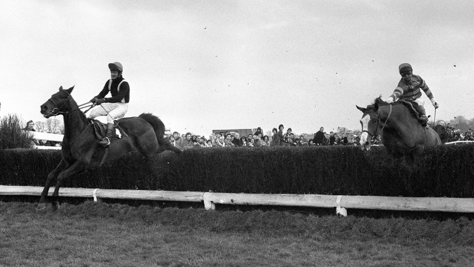 Silver Buck and Jack Of Trumps clash at Kempton