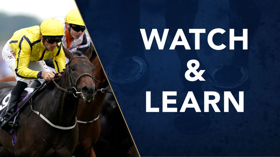 Perfect Power: Grand horse, but makes no Guineas appeal