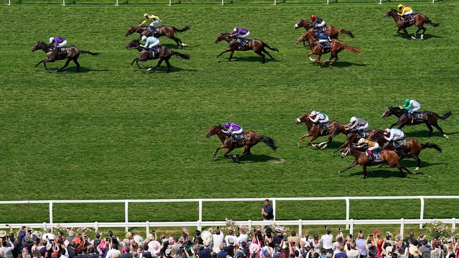 Valiant Force (far left) springs a surprise