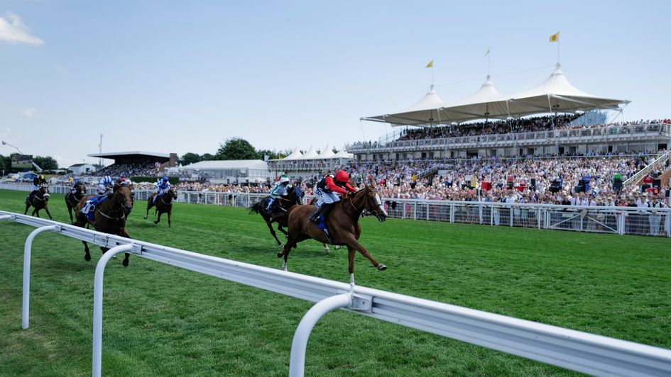 Action from the first race at Goodwood on Friday