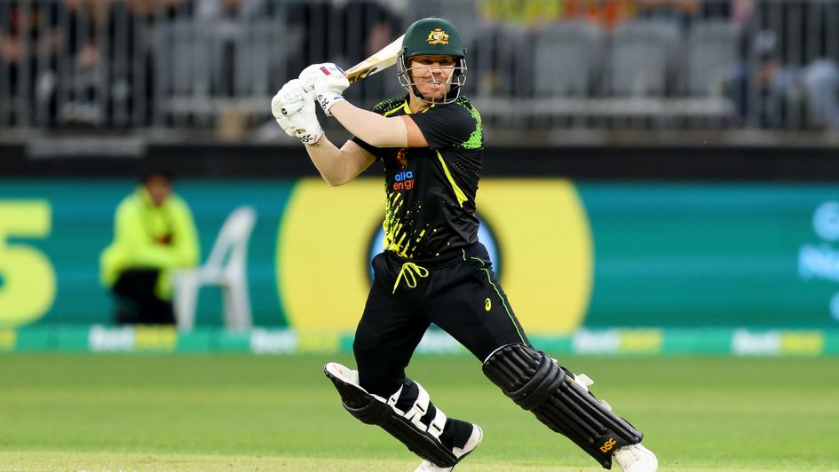 David Warner's 73 was in vain