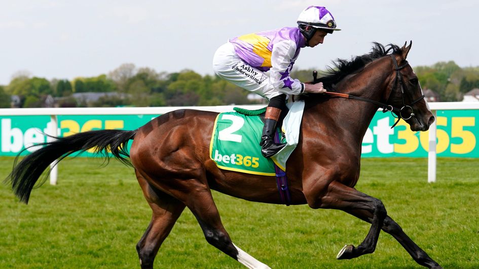 Seraph Gabriel heads to post at Sandown