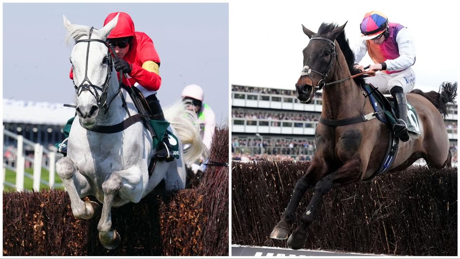 Grey Dawning and Haiti Coleurs - two leading fancies