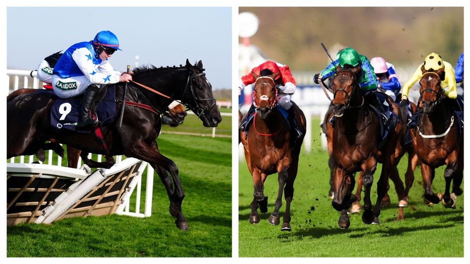 King Of Answers and Urban Lion are in action on Saturday