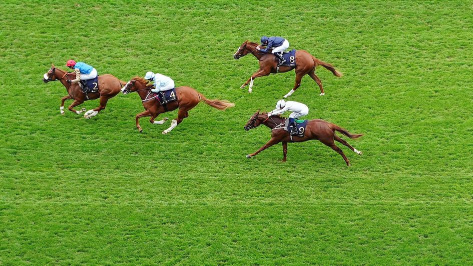 Humidity lands the Chesham