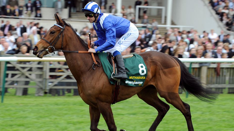 Muthabara heads to post for the 1000 Guineas