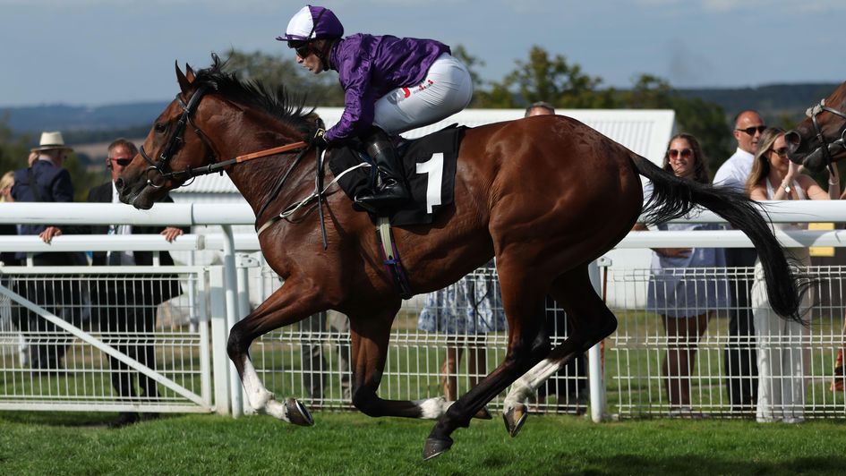 Ancient Egypt - set for Royal Lodge