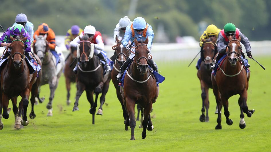 Copper Knight blitzes to victory at York