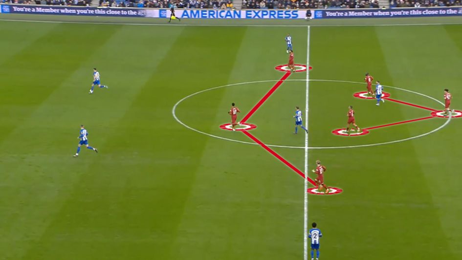 Liverpool shape analysis