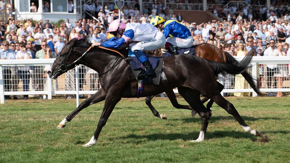 King High opens his account at Newbury