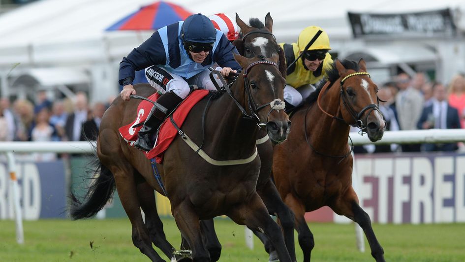 Danzeno in winning action