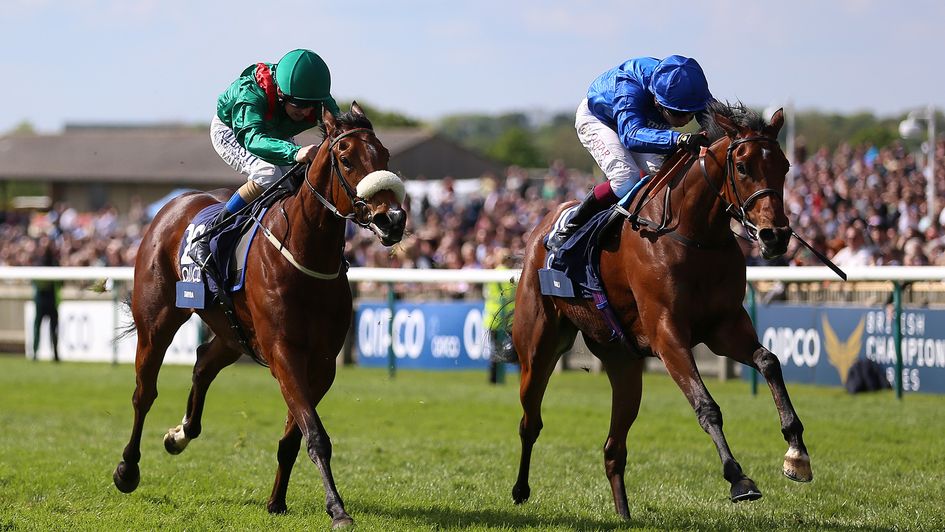 Mawj (right) repels the challenge of market leader Tahiyra